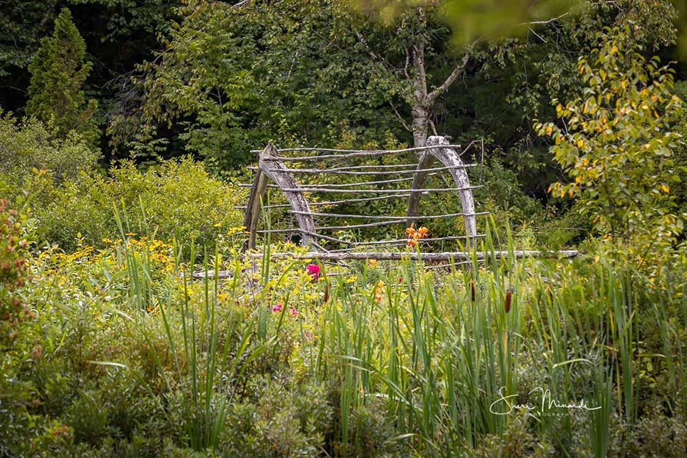 arbor