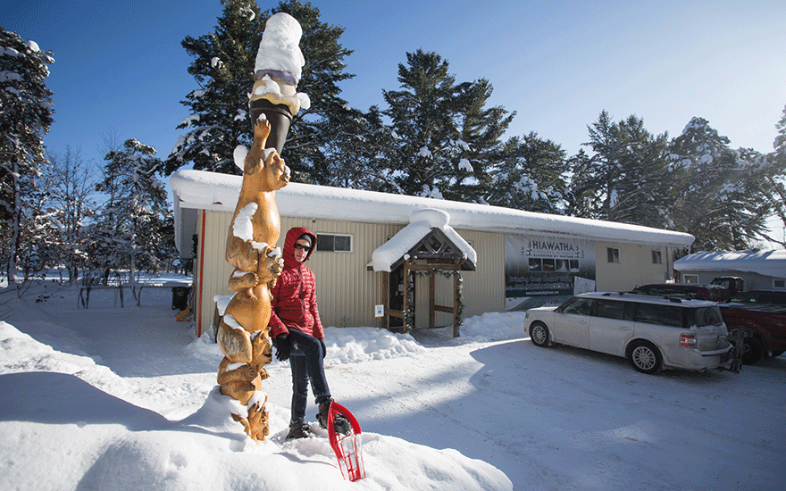 hiawatha highlands bears