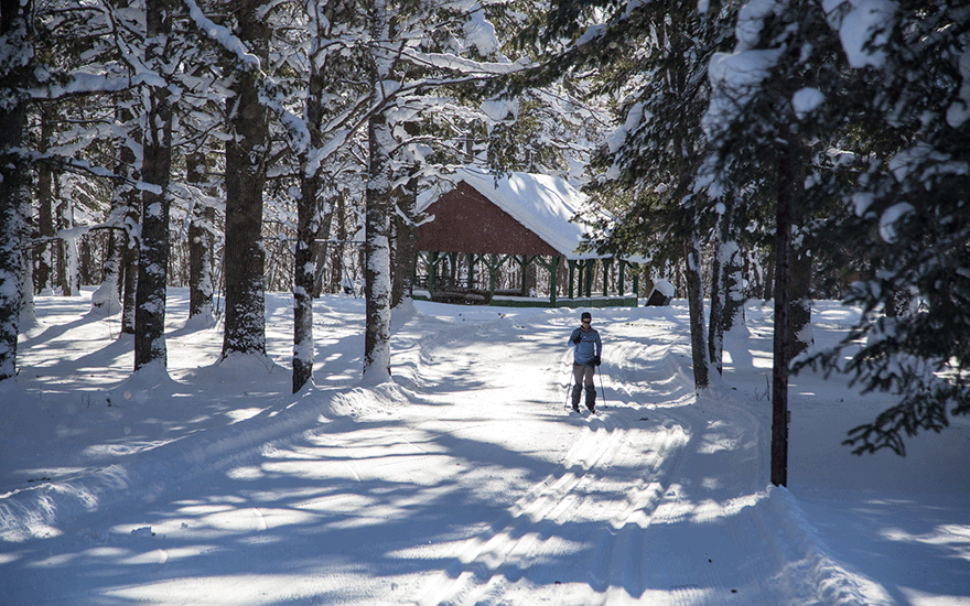 cross country ski