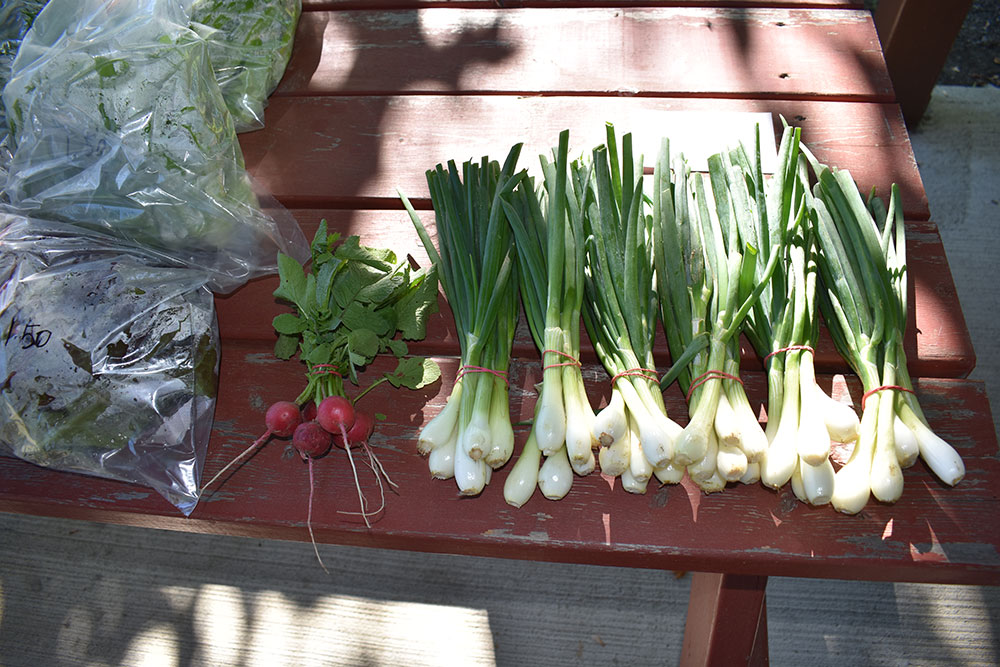 fresh produce