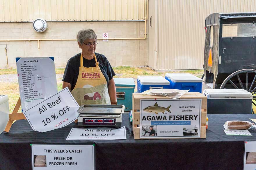 agawa fishery