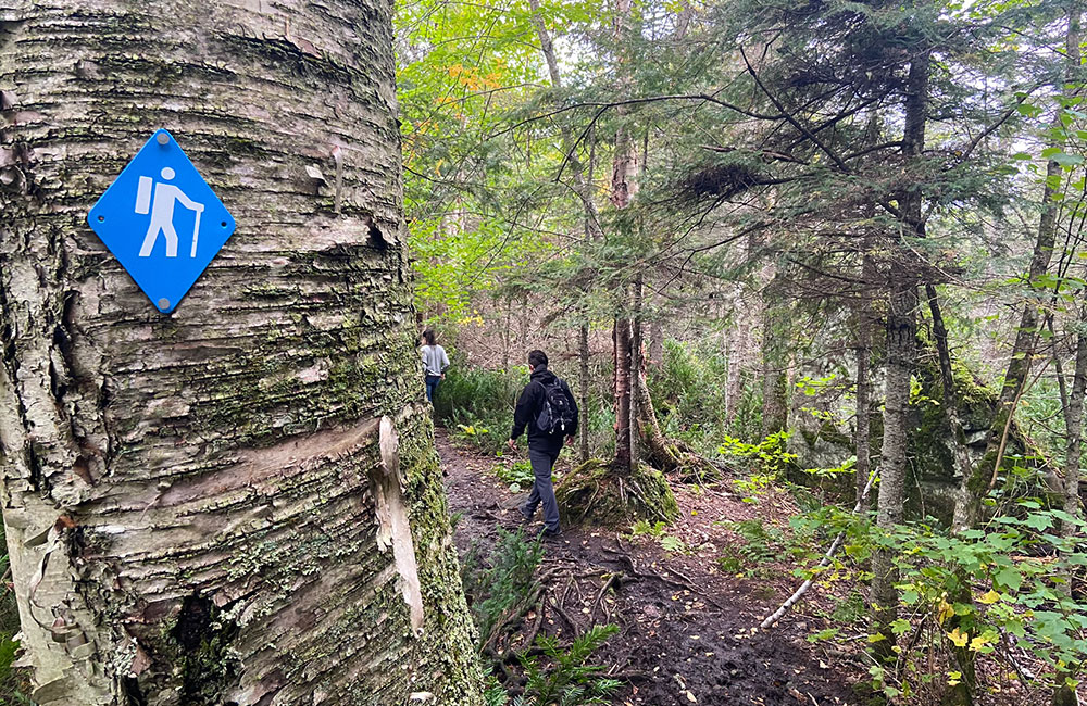 orphan lake trail