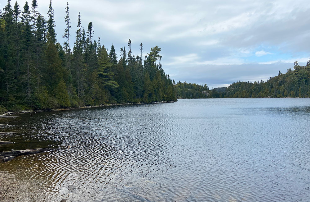orphan lake