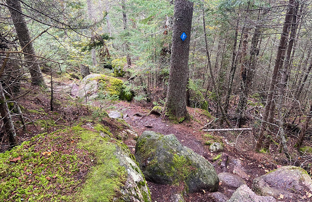 orphan lake trail 