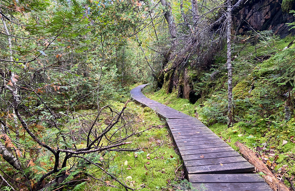 orphan lake trail boardwalk
