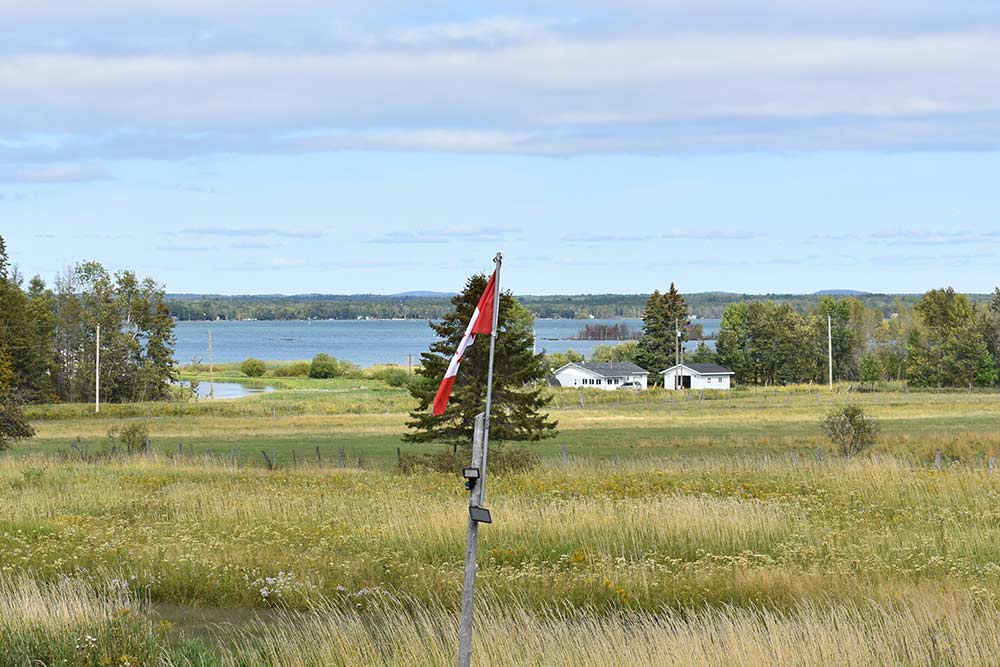 view from salamander ridge farm