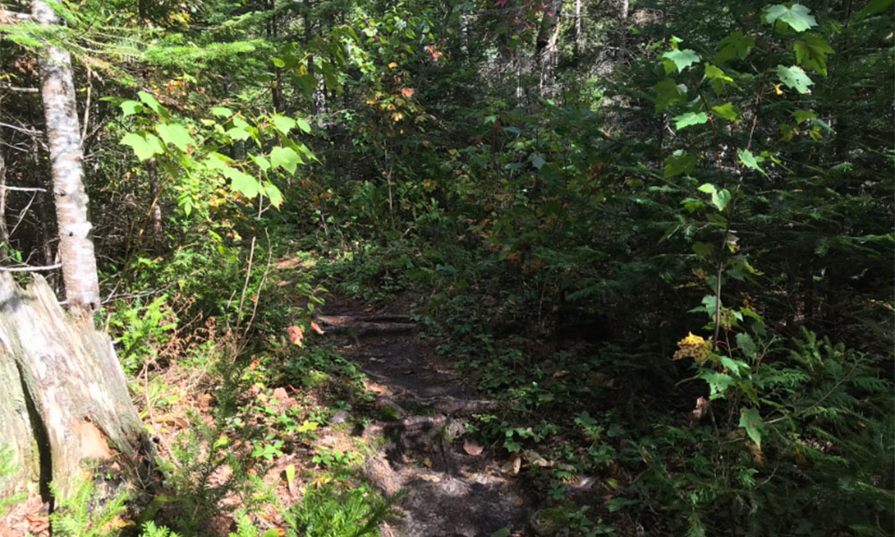 sand river trail