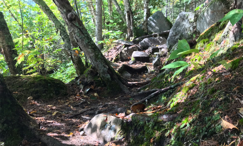 sand river trail