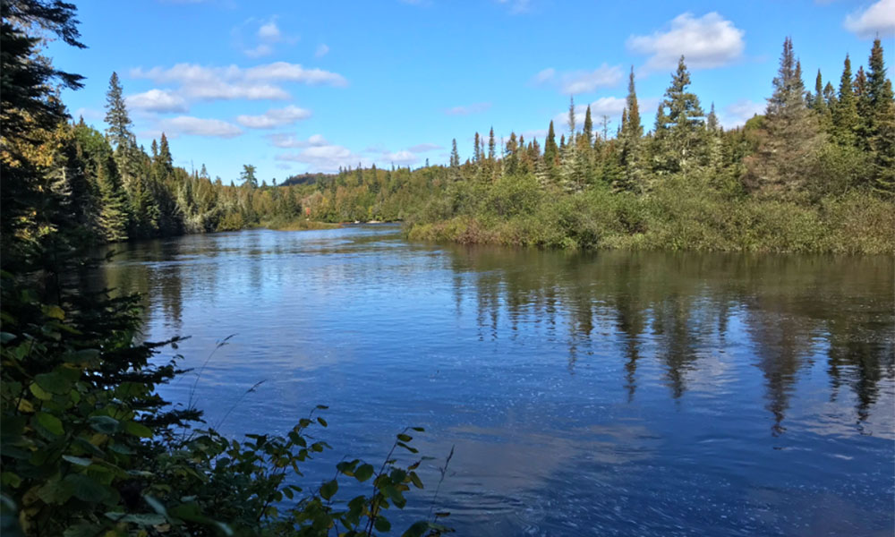 sand river