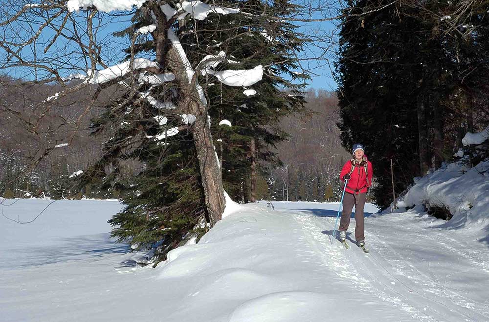cross country skiing