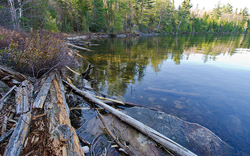 lake shoreline