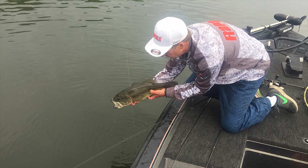catch and release smallmouth bass from a boat