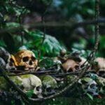 Haunted Hikes