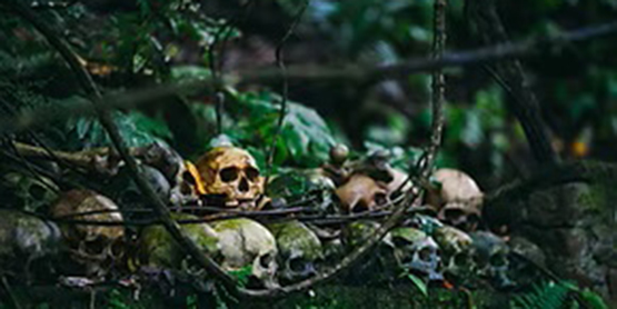 HauntedHikesForestCanoeEvent