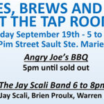 5th Annual Blues Brews and BBQ