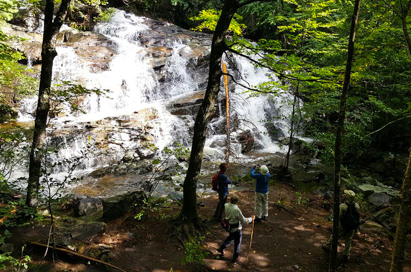 waterfall