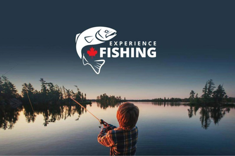 experience fishing