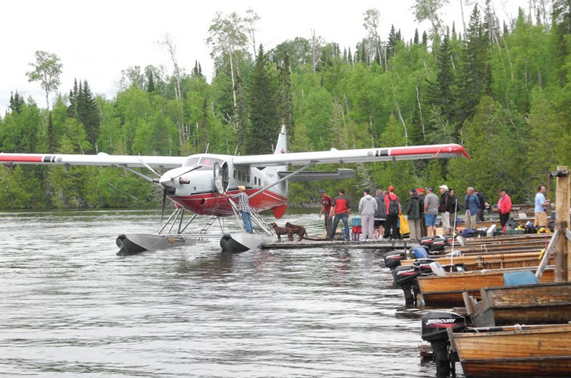 bushplane docked