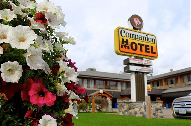 CompanionHotelMotelAcommMain