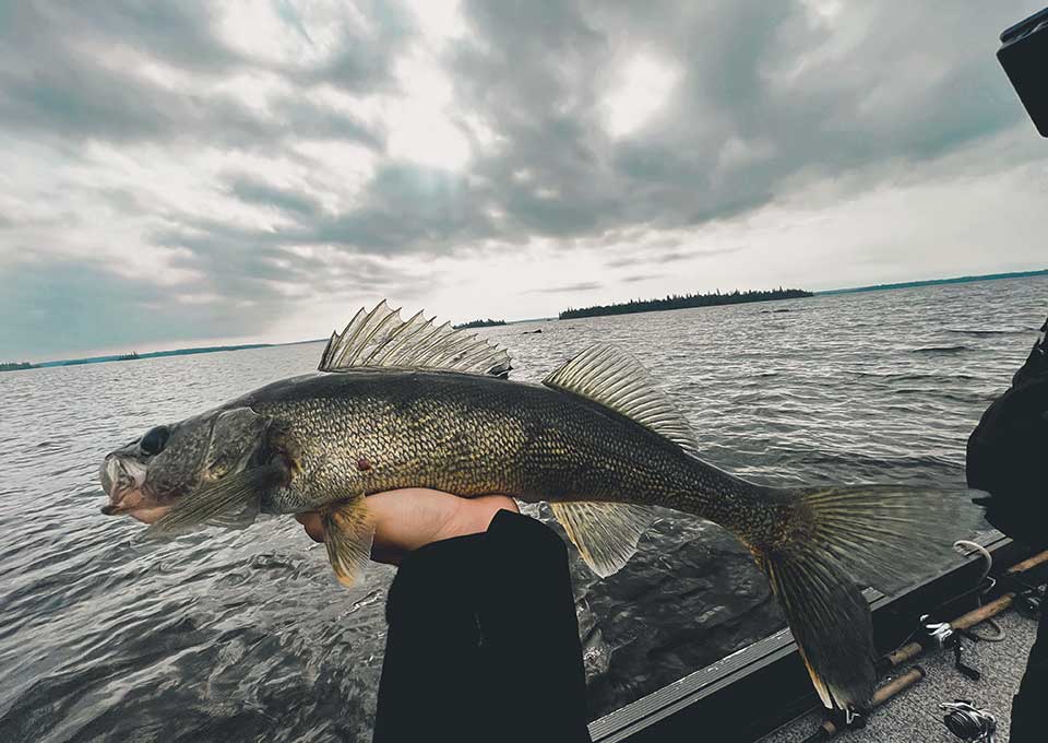 walleye fishing