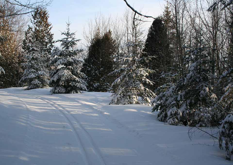 blind river cross country ski trails