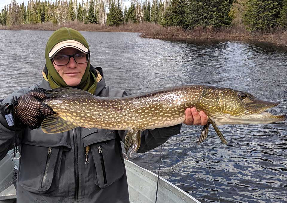 northern pike fishing