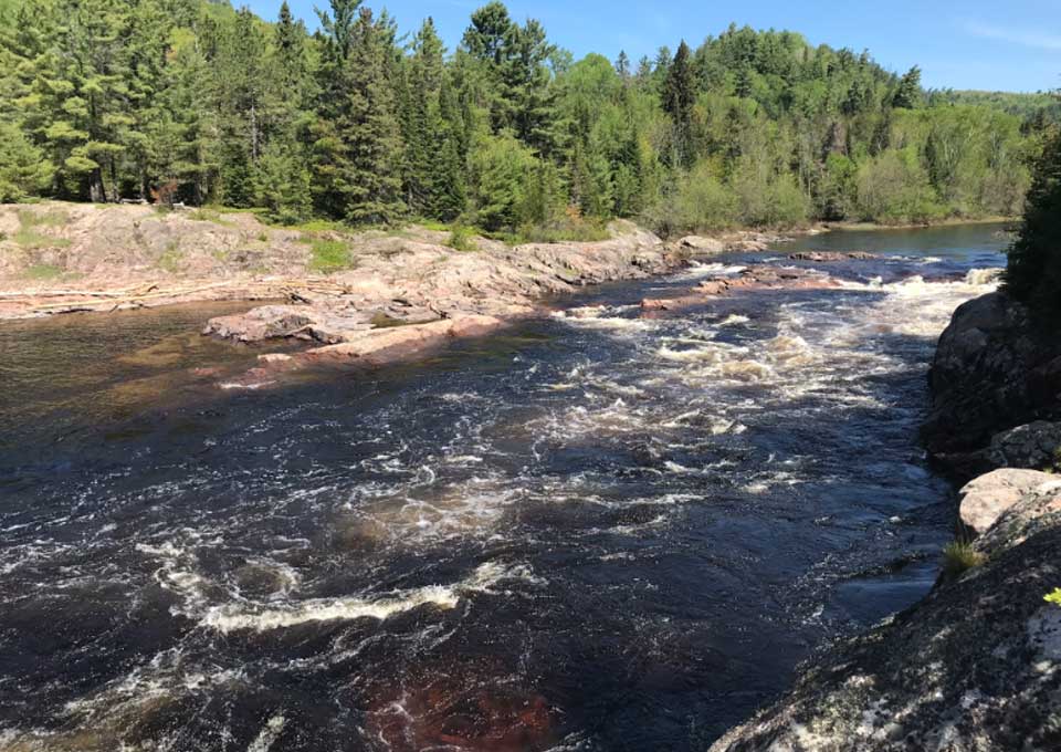 pigpenchutes-algoma