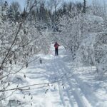 Thessalon Ski Trails