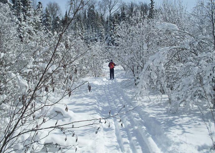 thessalon-ski-trails-profile
