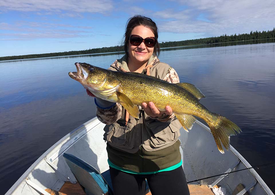 windy-point-lodge-main