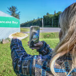 Pancake Bay