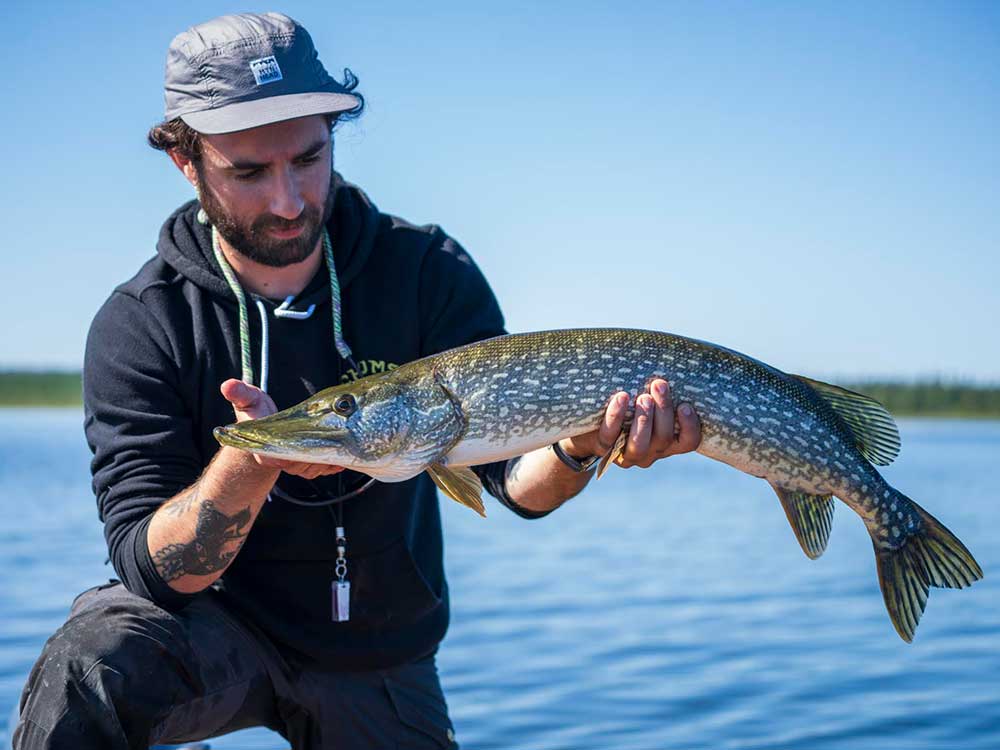 northern pike fishing