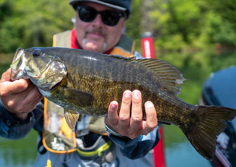 mississagi-valley-bass-fishing