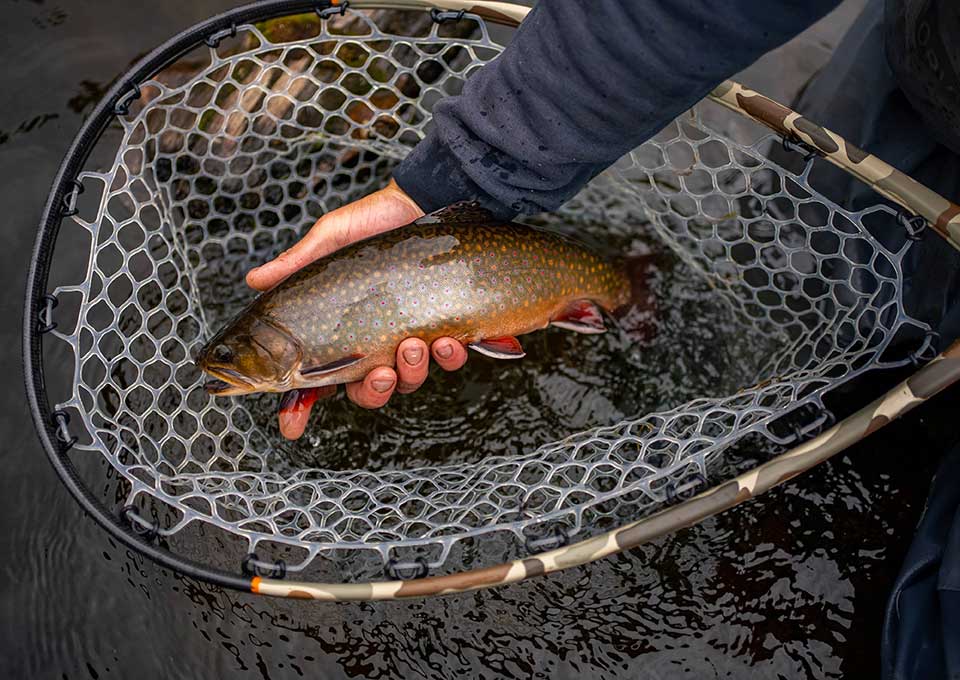 nakina-brook-trout-fishing