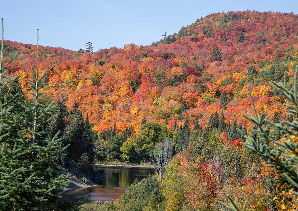 searchmont-fallcolours-river