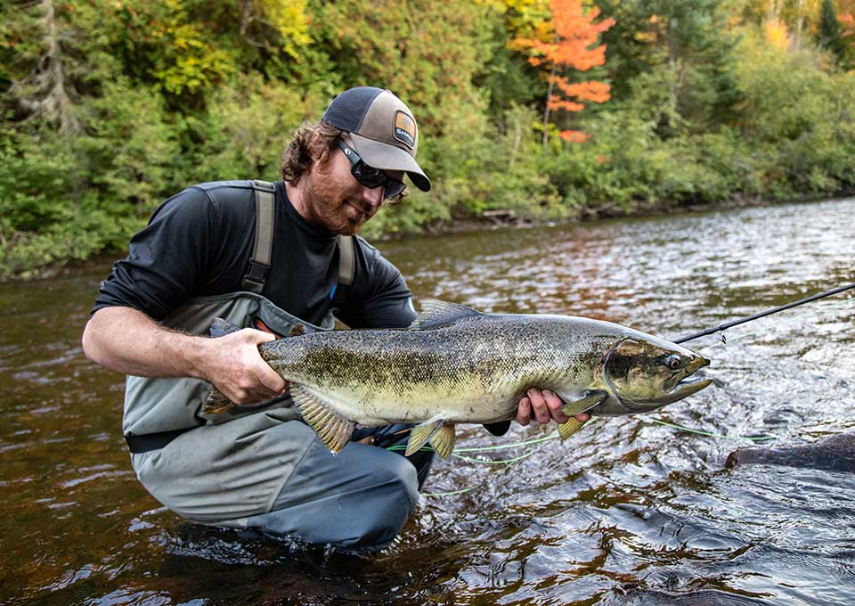 searchmont-fishing
