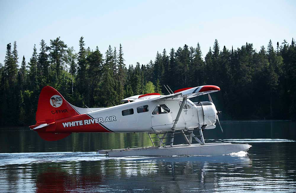 bush plane