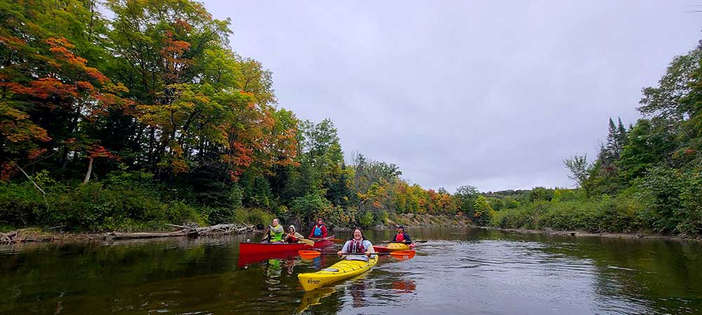 Paddling with Thrive Tours
