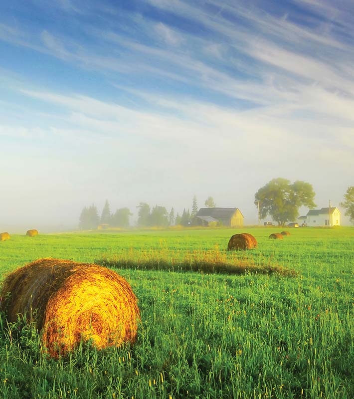 johnson-township-intro