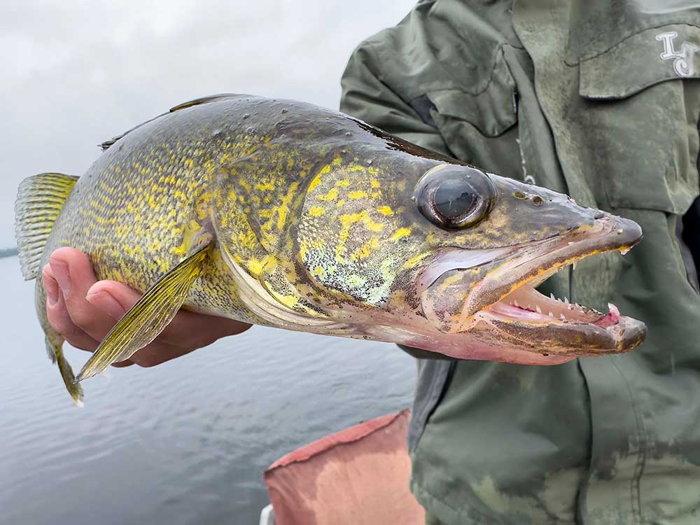 walleye fishing ontario mar mac lodge