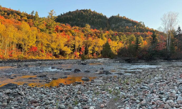 Algoma’s Best Fall Colour Hikes