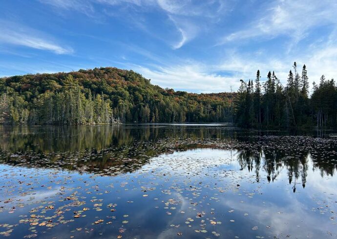 Trapper’s Trail