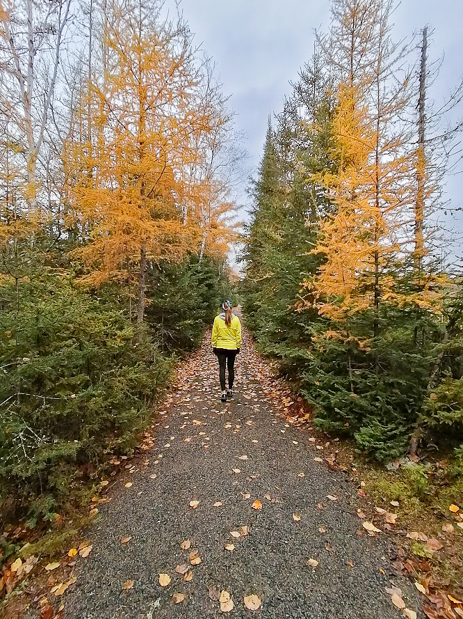 bruce mines historic mine trail in fall