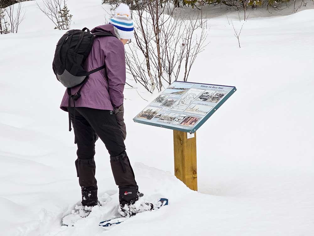 interpretive panels bruce mines historic mine trail