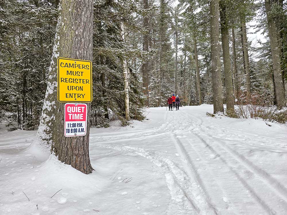 snowshoeing the trails