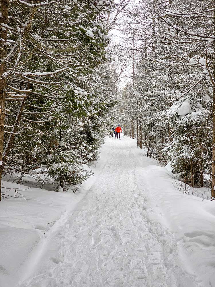snowshoeing the trails
