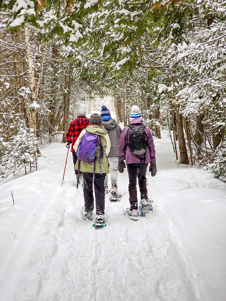 snowshoeing the trails