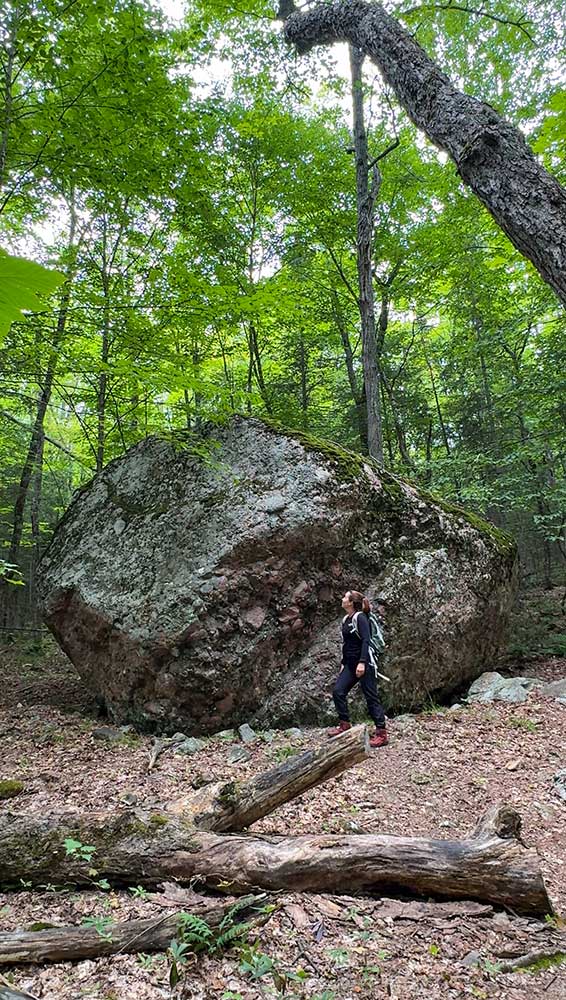 A glacial erratic in Mississagi Provincial Park