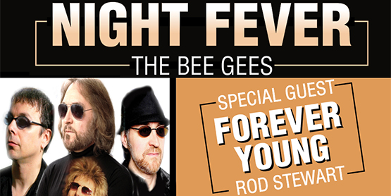 NightFeverBeeGeesEvent